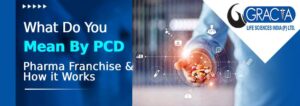 What Do You Mean By PCD Pharma Franchise And How it Works?